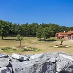 Matelici