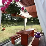 Matelici Divšići