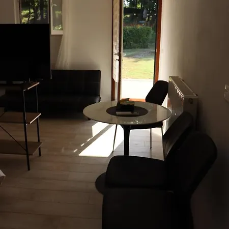 Matelici Divsici
