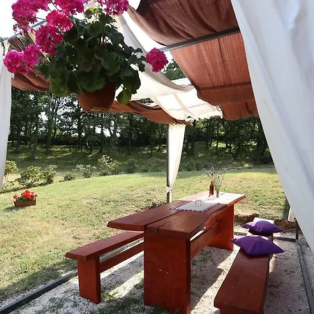 Matelici Divsici