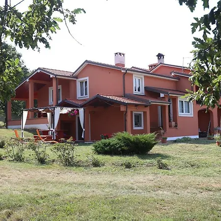Matelici